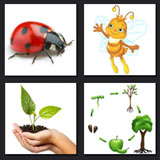  A Bugs Life 