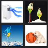  Air Bud 