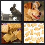  Animal Crackers 