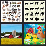  Animal Farm 