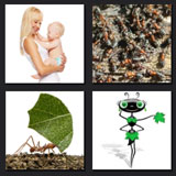  Antz 
