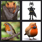  Batman & Robin 