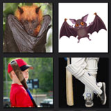  Bats 