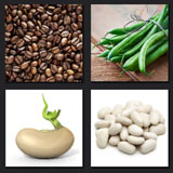  Bean 