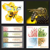  Bee Season 