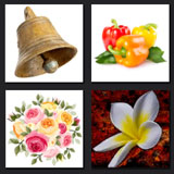  Bellflower 