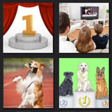  Best In Show 