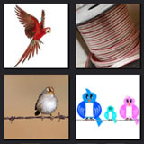  Bird On A Wire 