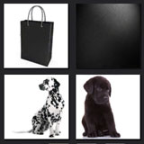  Black Dog 