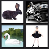  Black Swan 