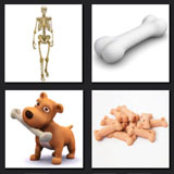  Bones 