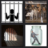  Captivity 