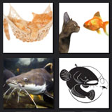  Catfish 