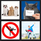  Cats Dont Dance 