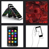  Cellular 