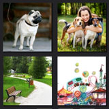  Dog Park 