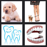  Dogtooth 