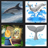  Dolphin Tale 