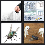  Drawing Flies 
