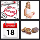  Due Date 