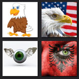  Eagle Eye 