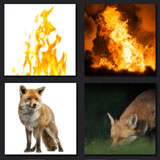  Firefox 