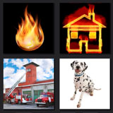  Firehouse Dog 