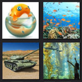  Fish Tank 