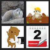  Groundhog Day 