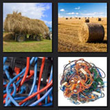  Haywire 