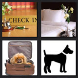  Hotel For Dogs 