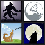  Howl 