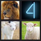  Lions For Lambs 