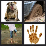  Mud 