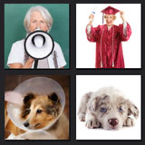  Old Dogs 