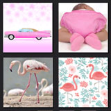  Pink Flamingos 