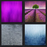  Purple Rain 