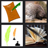  Quills 