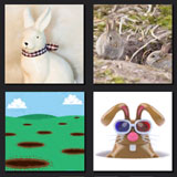  Rabbit Hole 
