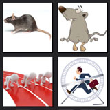  Rat Race 