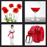  Redbelt 
