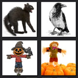  Scarecrow 