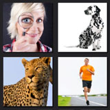  See Spot Run 