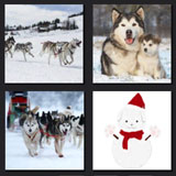  Snow Dogs 
