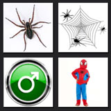  Spider Man 