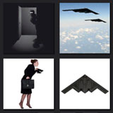  Stealth 