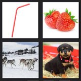  Straw Dogs 