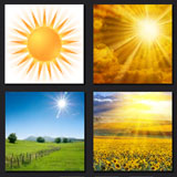  Sunshine 