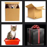  The Box 