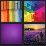  The Color Purple 